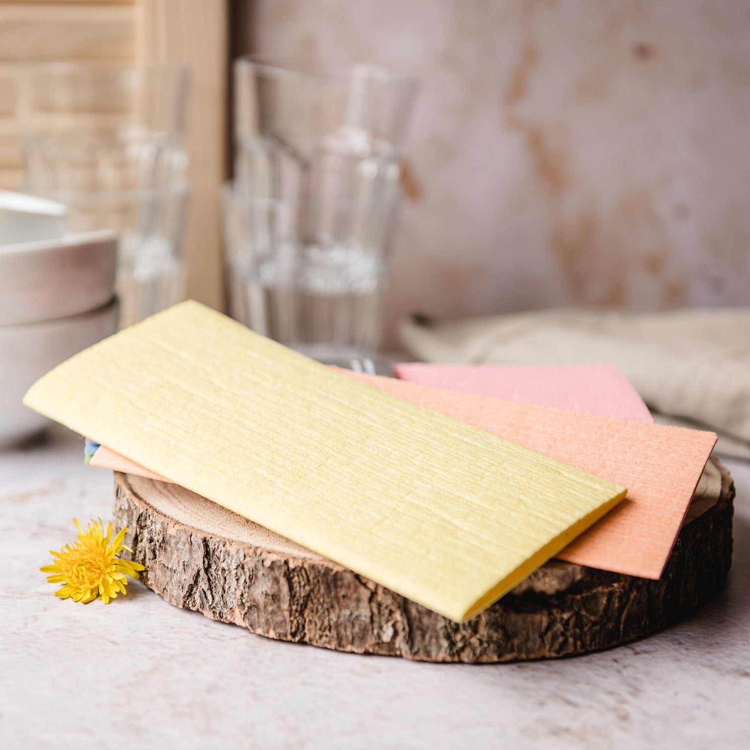 Rainbow Compostable Cleaning Sponges - 6 pack - Life Before Plastik